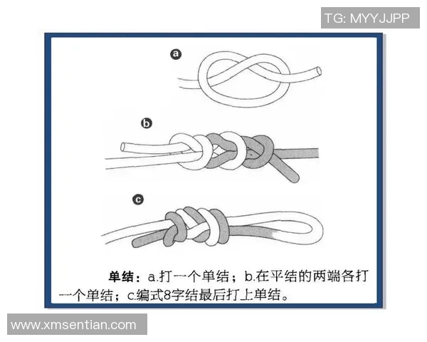 从零基础到高手:全面解析攀岩技巧与训练方法的终极指南 从零基础到高手:全面解析攀岩技巧与训练方法的终极指南
