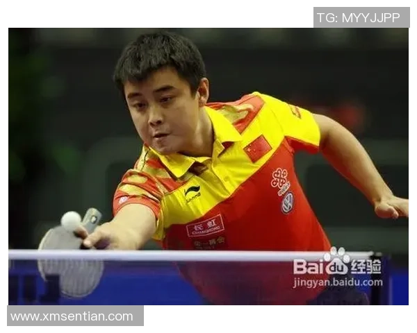 西安羽毛球队反击之路的得失与启示分析 西安羽毛球队反击之路的得失与启示分析